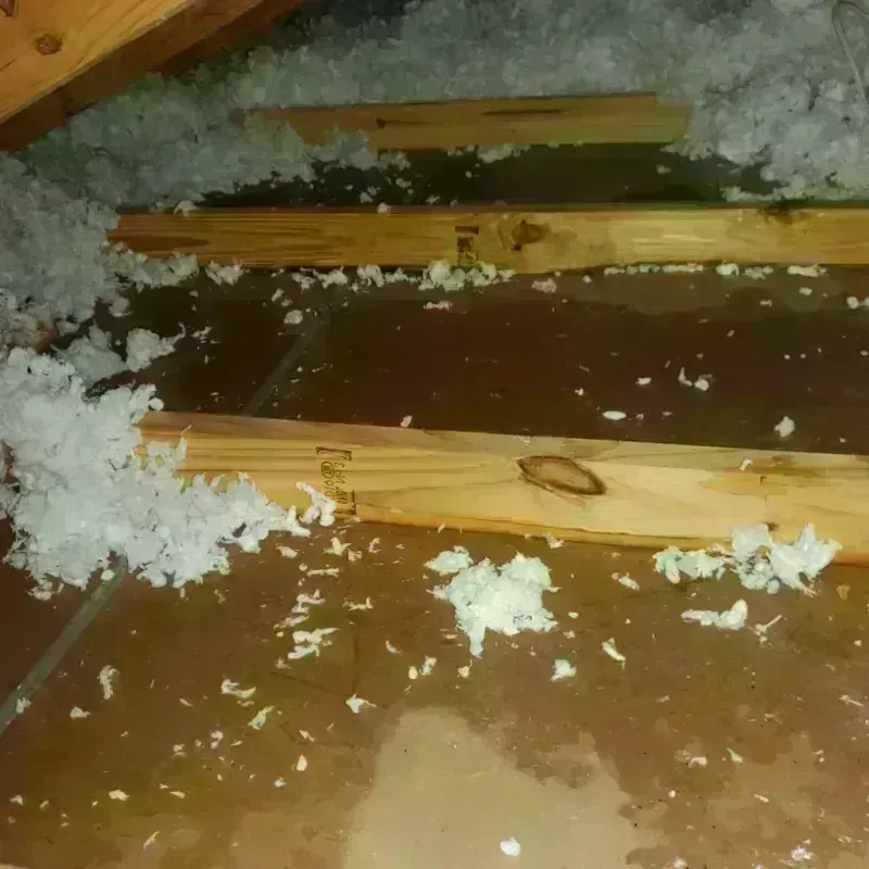 Attic Water Damage in Elmendorf, TX